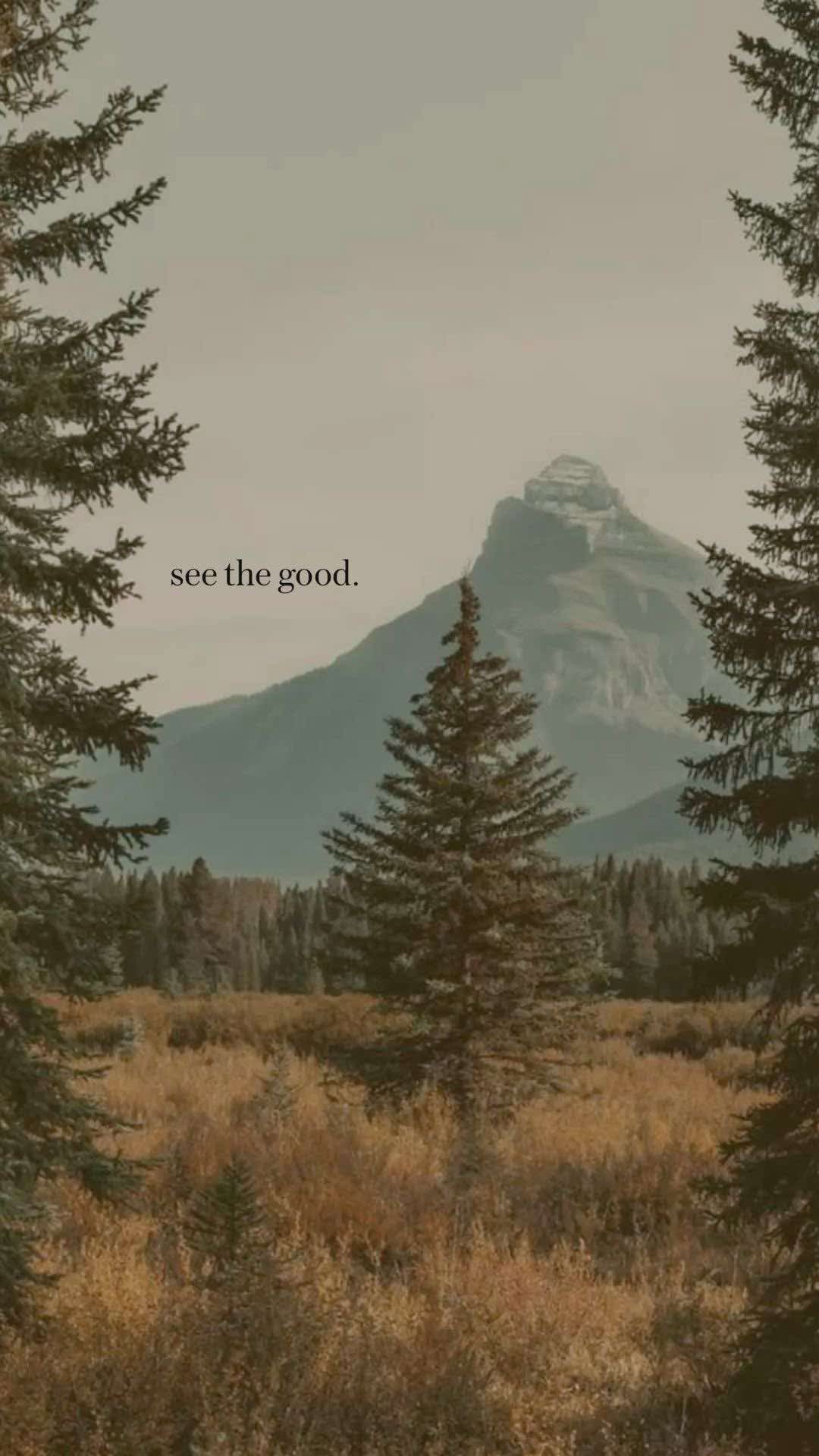 See the good