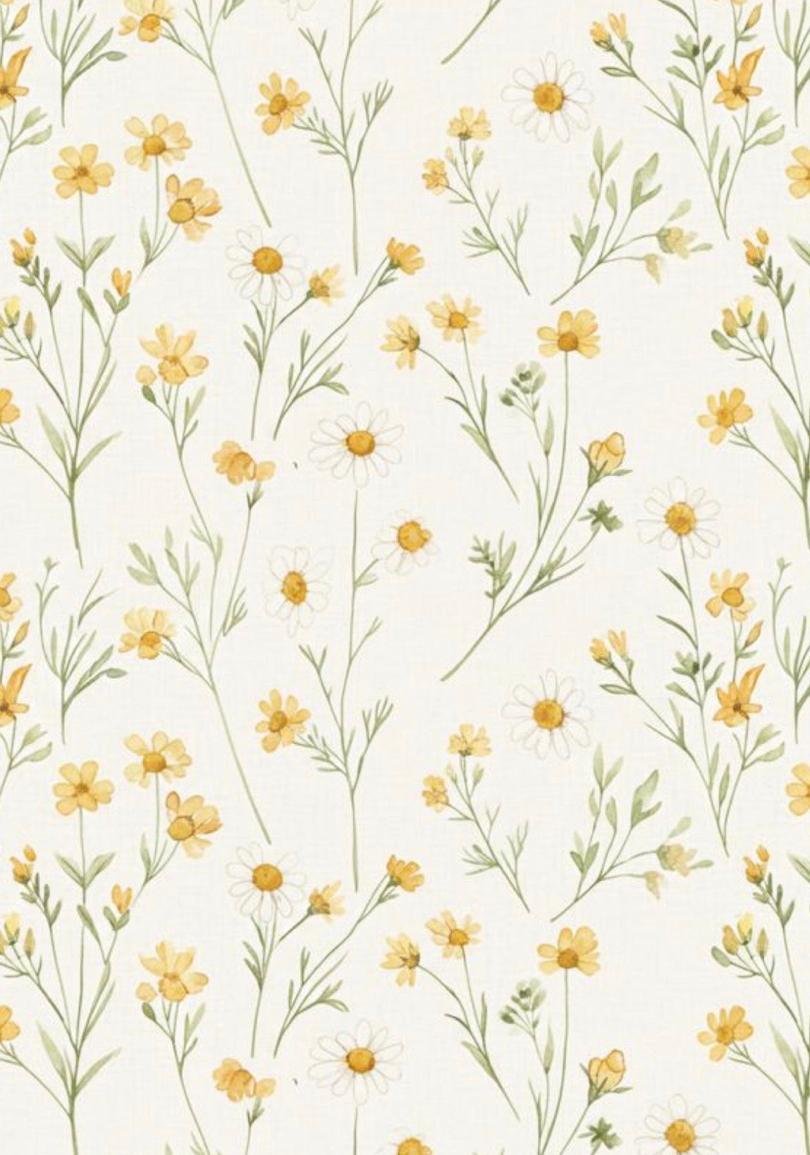 Yellow Daisies