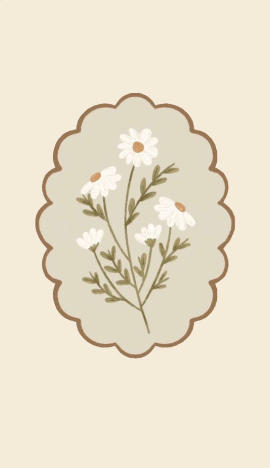 Daisies