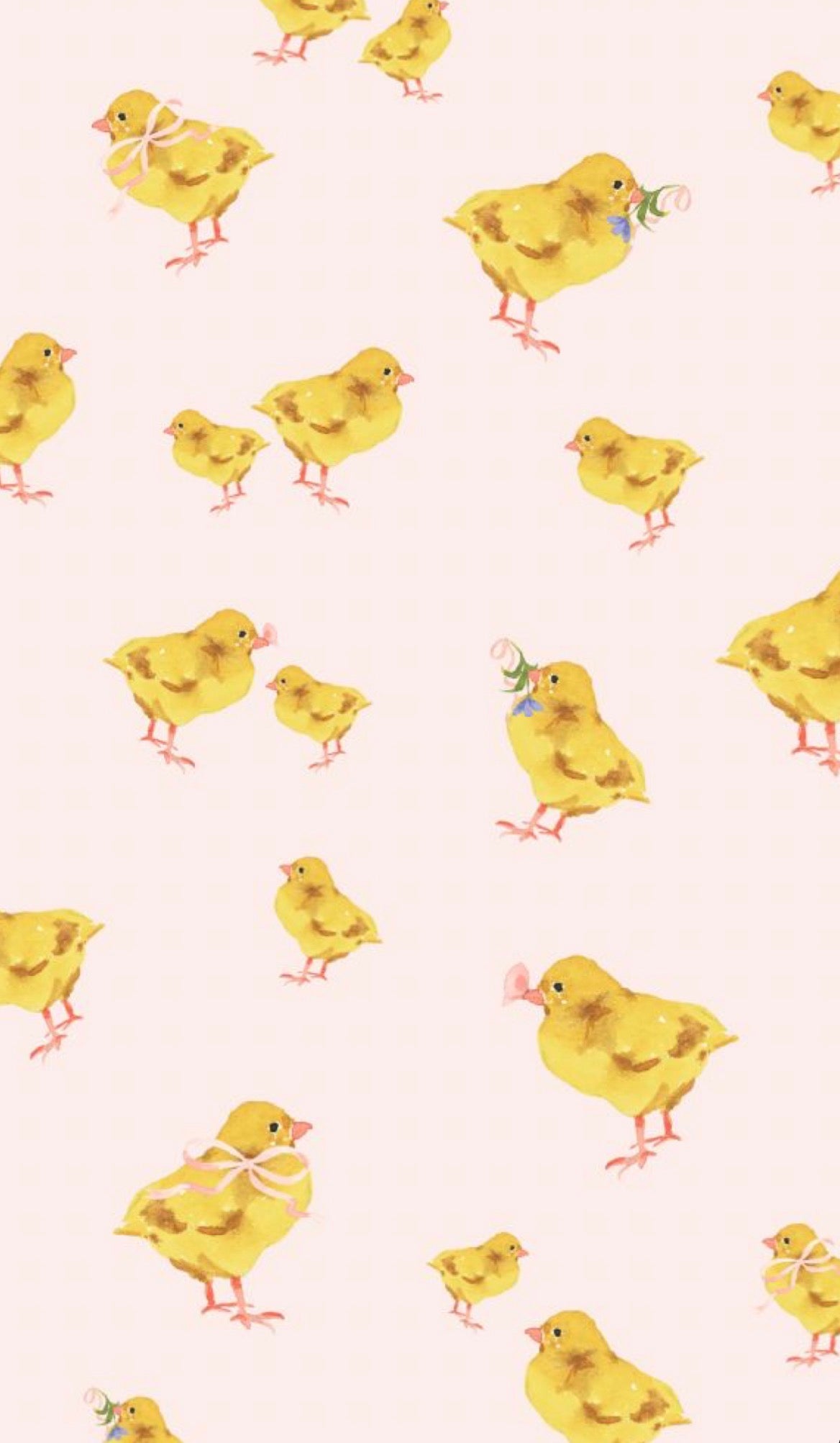 Chicks