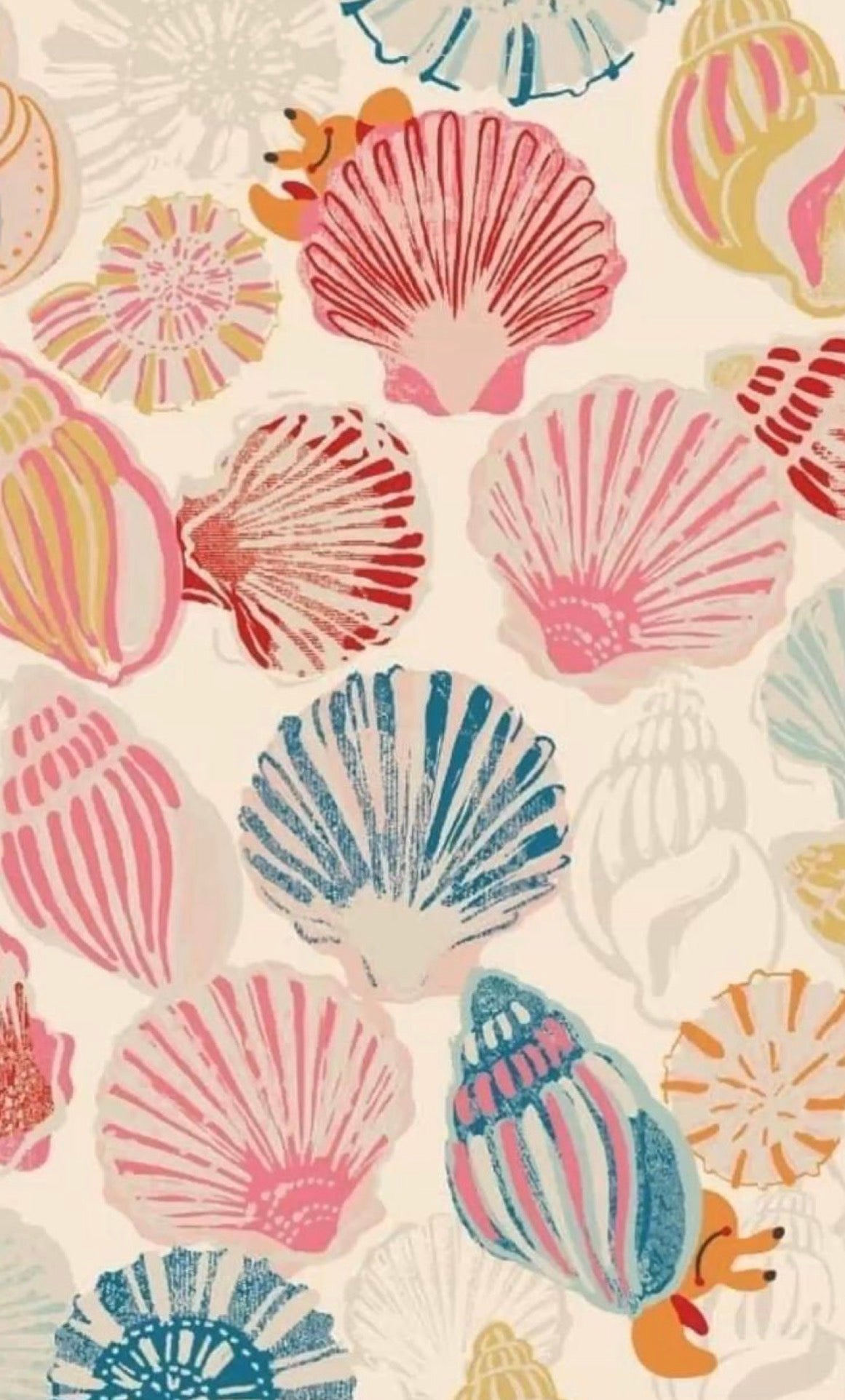 Seashells