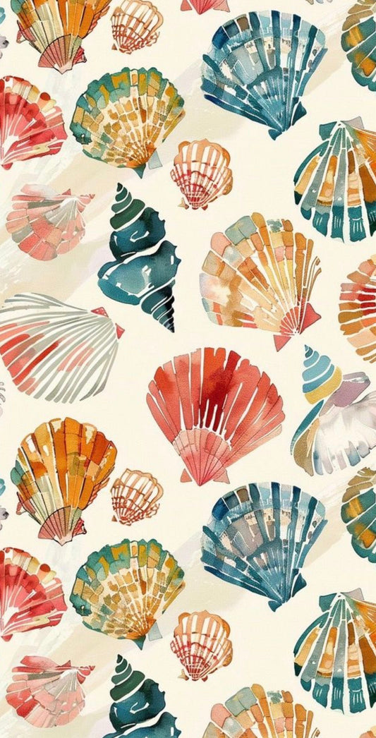 Seashells 3